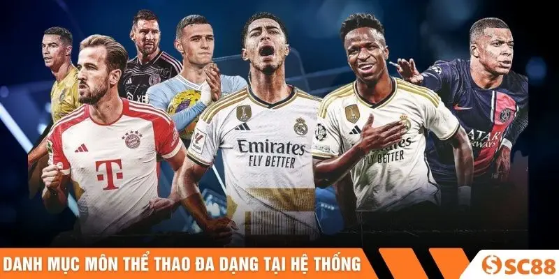 Danh mục môn thể thao đa dạng tại hệ thống