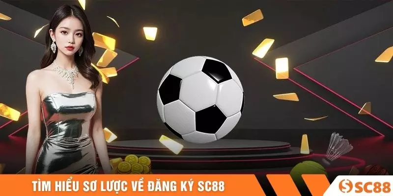 Tìm hiểu sơ lược về đăng ký SC88